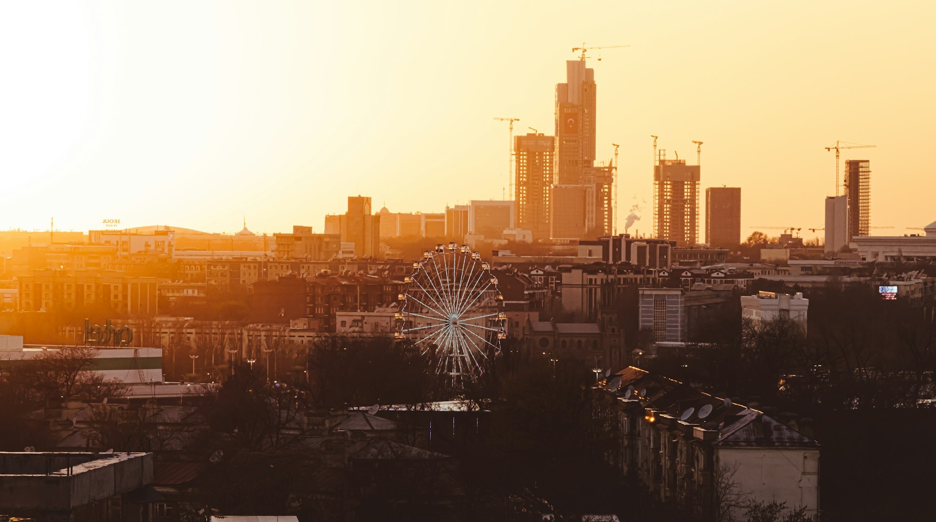 a city skyline with a ferris wheel